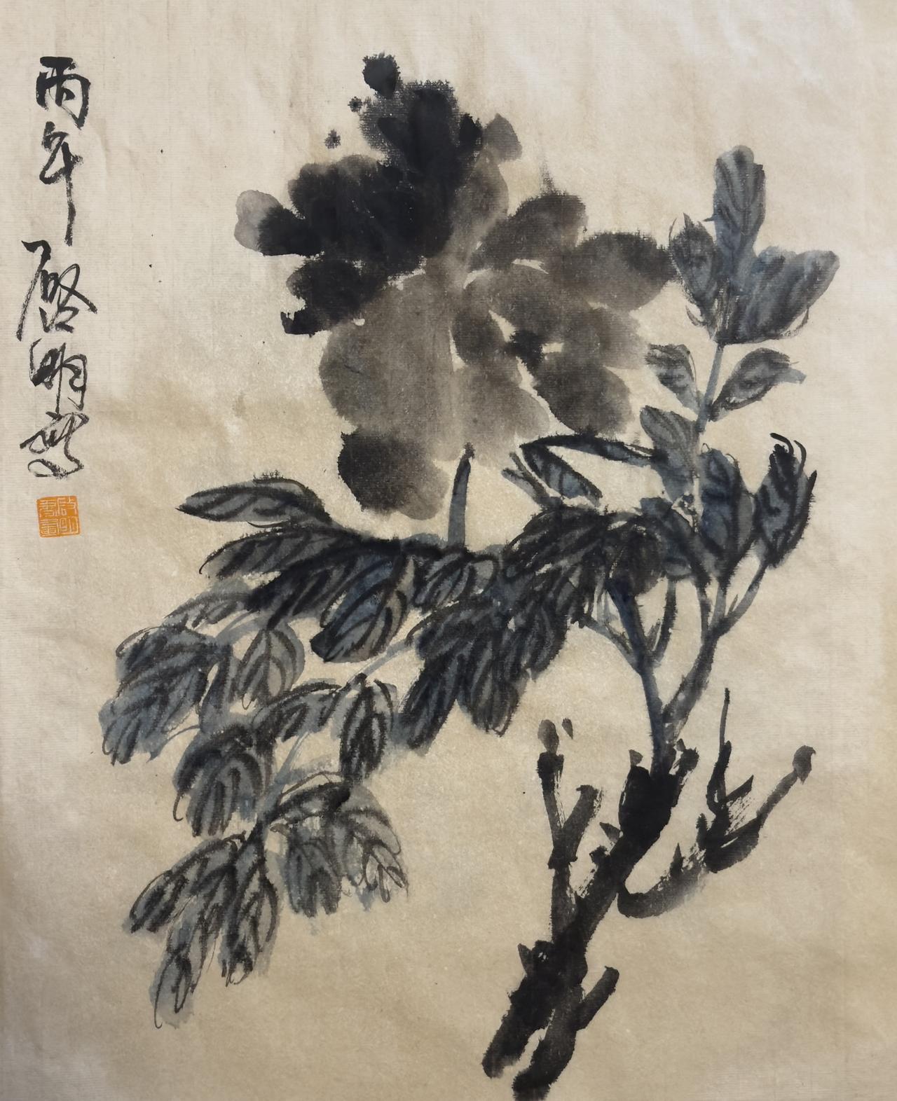 中国画牡丹 国画牡丹收藏 名家牡丹 牡丹作品欣赏 水墨写意牡丹欣赏
