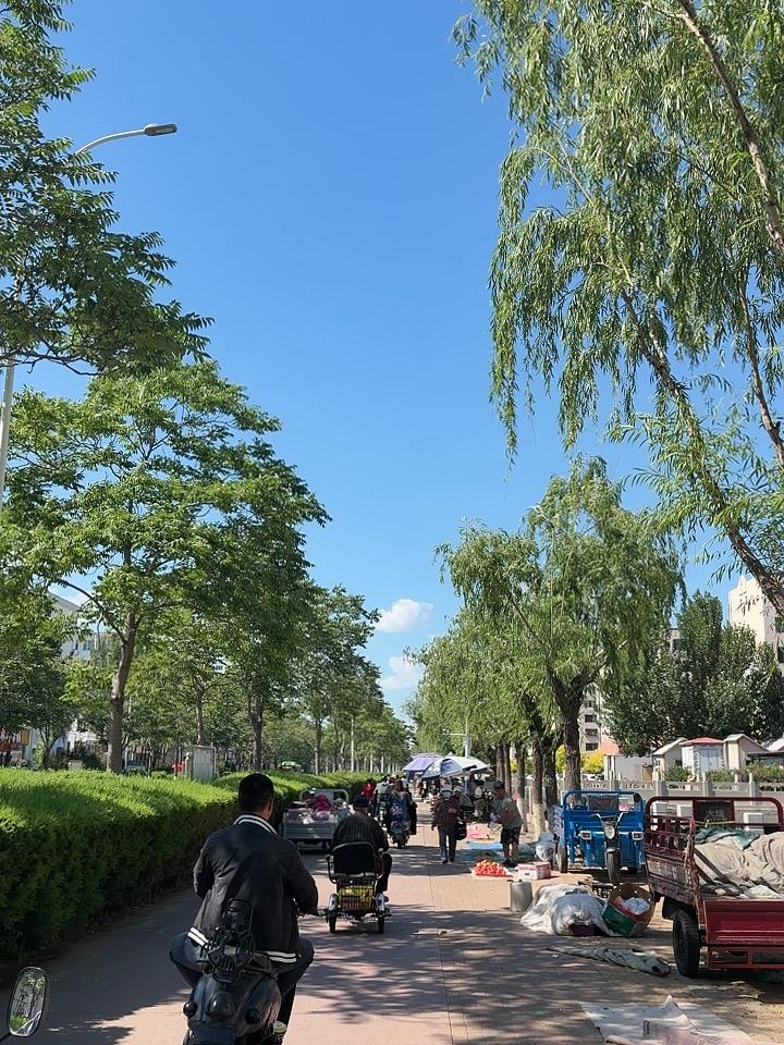 收到录取通知书，
双眼含泪已模糊。
不负寒窗十几载，
回首前尘无坦途。
名落孙山