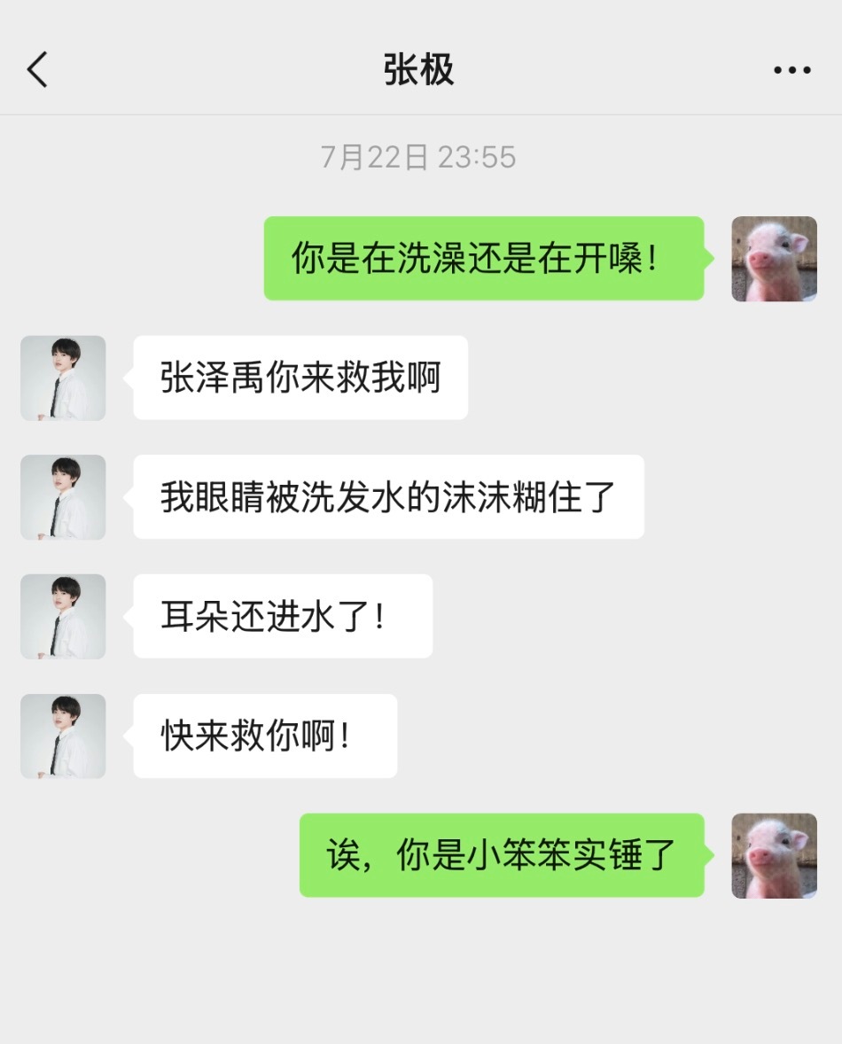 喜猪日记 极禹