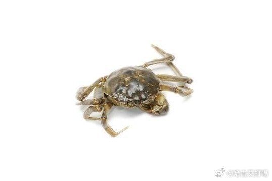 凤凰新闻【寄生虫太多，开水都烫不死的4种食物，很多人却吃得停不下嘴】人们常说：“