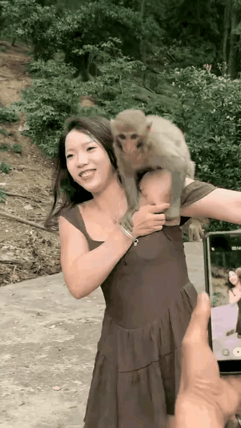 这个女人对猴子是很宽容的，如果猴子是一个男人的话，百分百被女人控告猥亵，甚至性侵