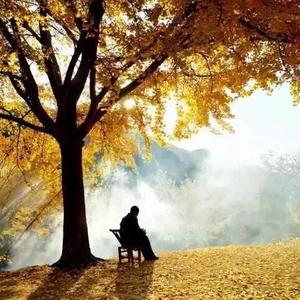 独坐黄昏品晚霞