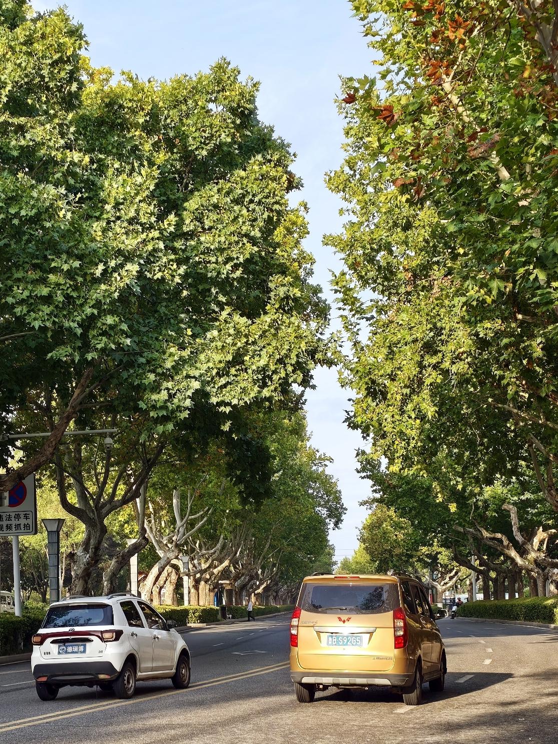 今天，距离<你问我答>活动还有五天就结束了，真是巴望着它早日结束啦！
不知有没有