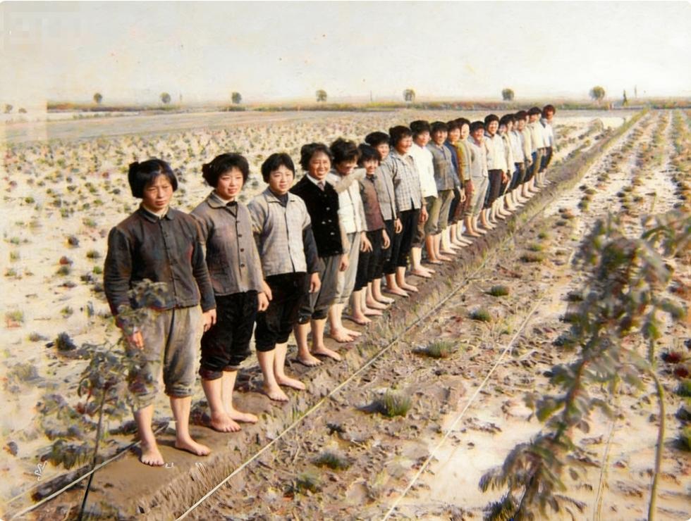 知青在农村，有哪些最难忘的故事初春季节，乍暖还寒。赤脚下田干活最难受也最难忘！尤