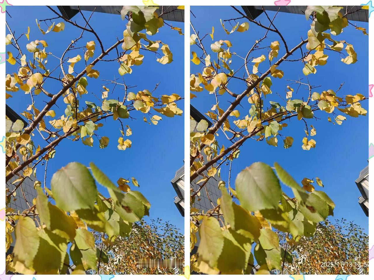 高三的儿子今天中午放学进家门说是不是要和日本开战了他要去，瞬间破防了！

  1