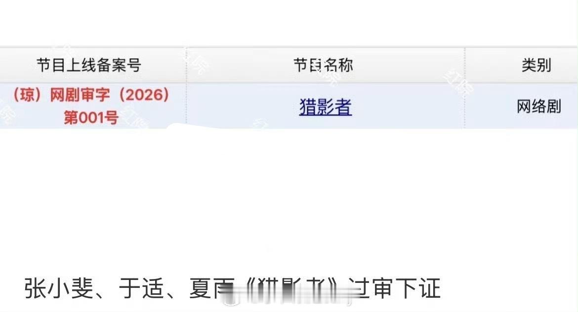 张小斐、于适、夏雨《猎影者》今日正式过审下证