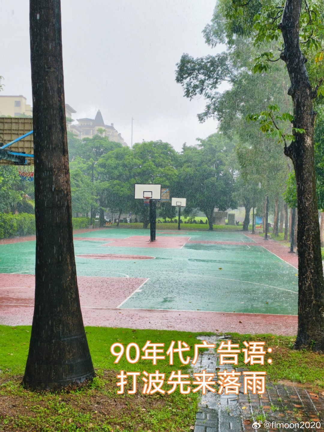 生态中山 一日之计在于晨🌞🌧 