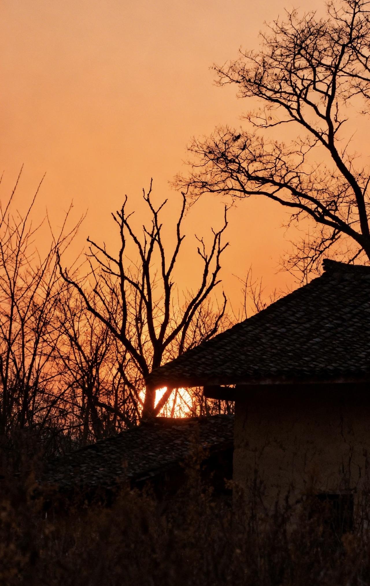 精美壁纸（705）🌈
📝冬日黄昏，落日悬在天际，泼开一片温柔的暖橙光晕。远处