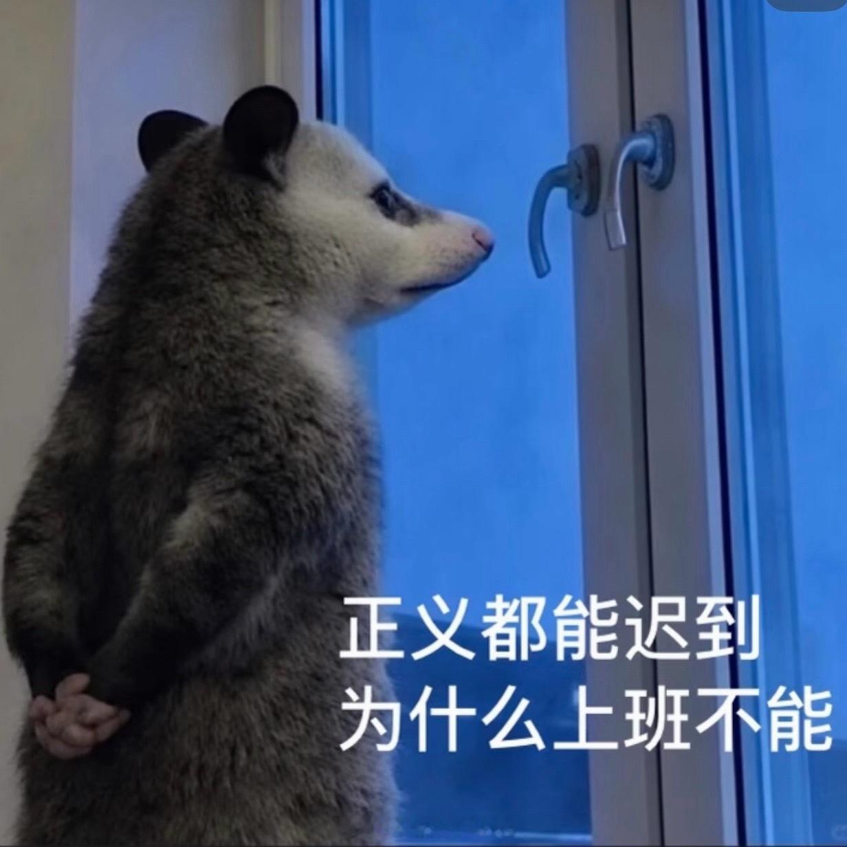 今晚七点🍑播播 我们晚上见哦 ！ 前两天打的轻薄针今天脸还肿的像小仓鼠 有什么