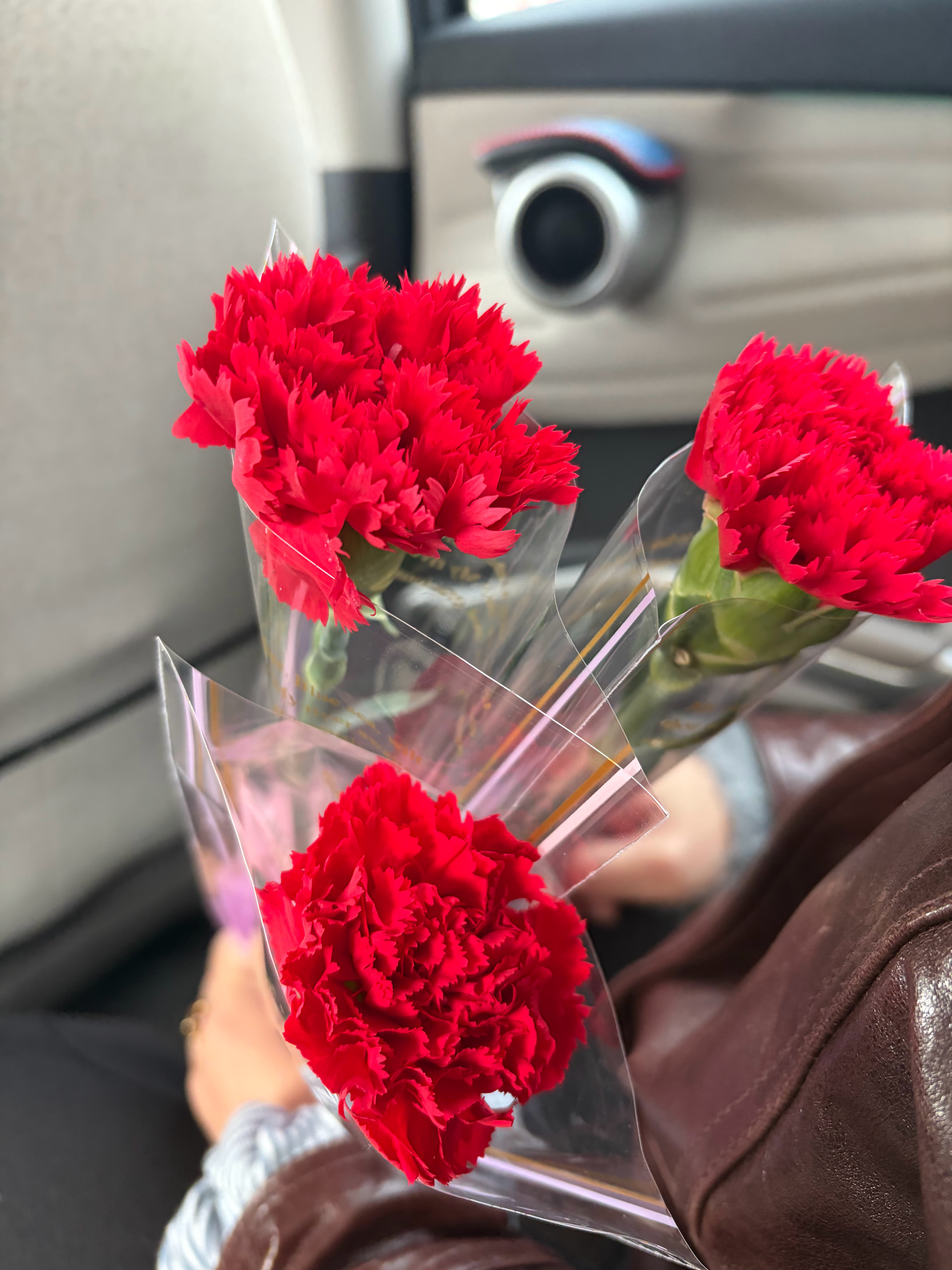 三八节 一大早保安就在小区里派发🌹大红色康乃馨 差点以为在过母亲节 