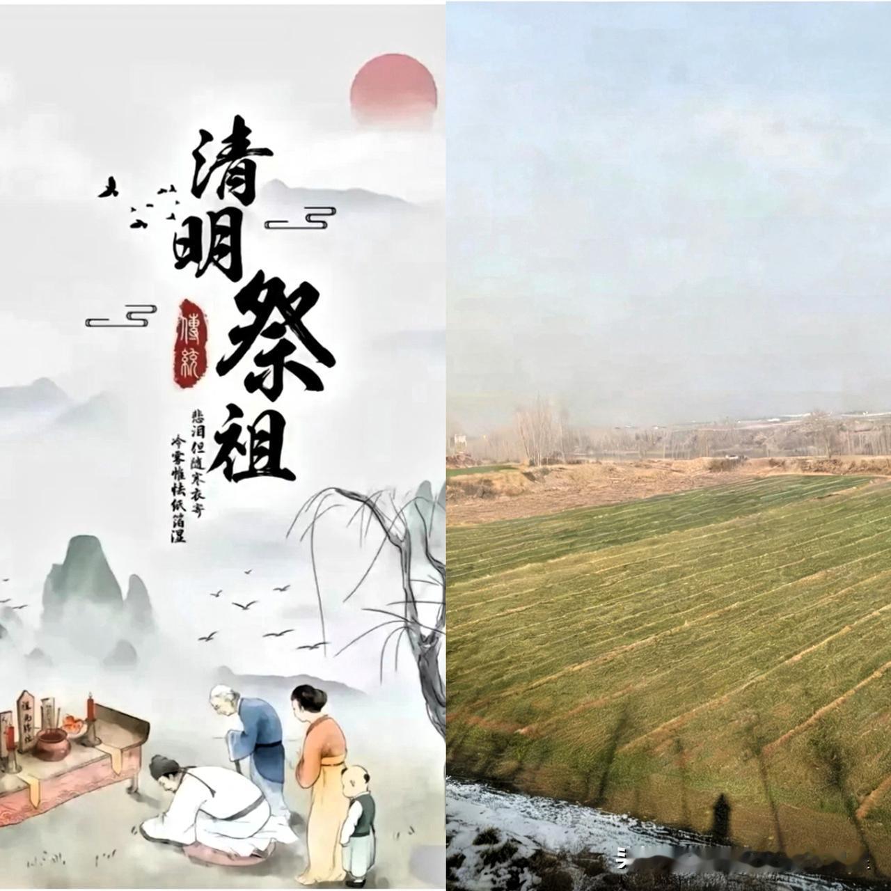 2026年3月30号殡葬新规一曝光，我直接一口烟没咽下去，这改革来得是真彻底啊！