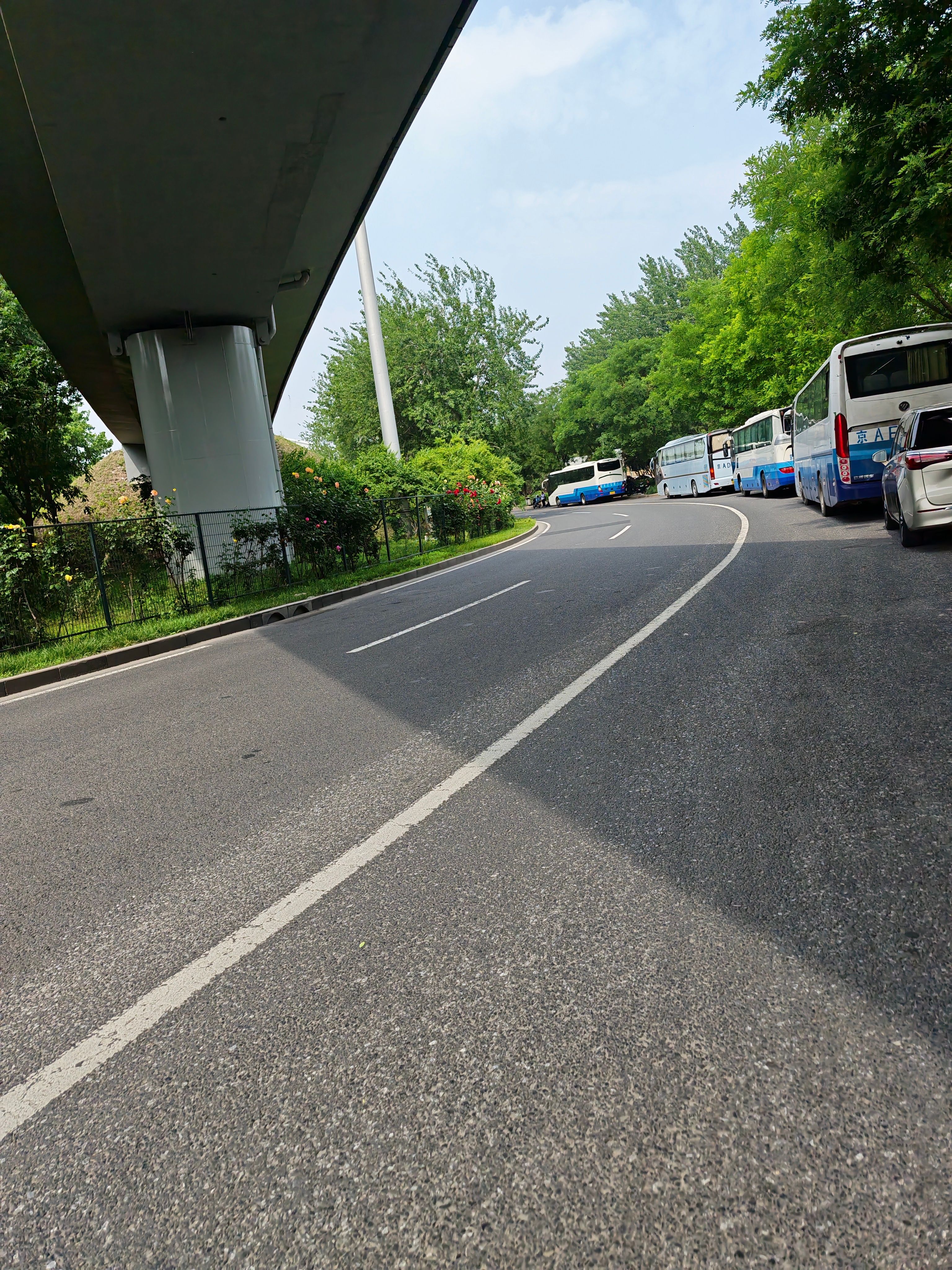 鬼使神差，骑车15km从丰台跑朝阳逛菜场但又考虑到买菜成本又骑回来了嗯，这个下午