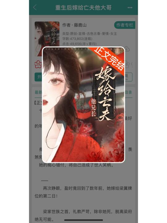 超强背德感，重生后嫁给亡夫他大哥