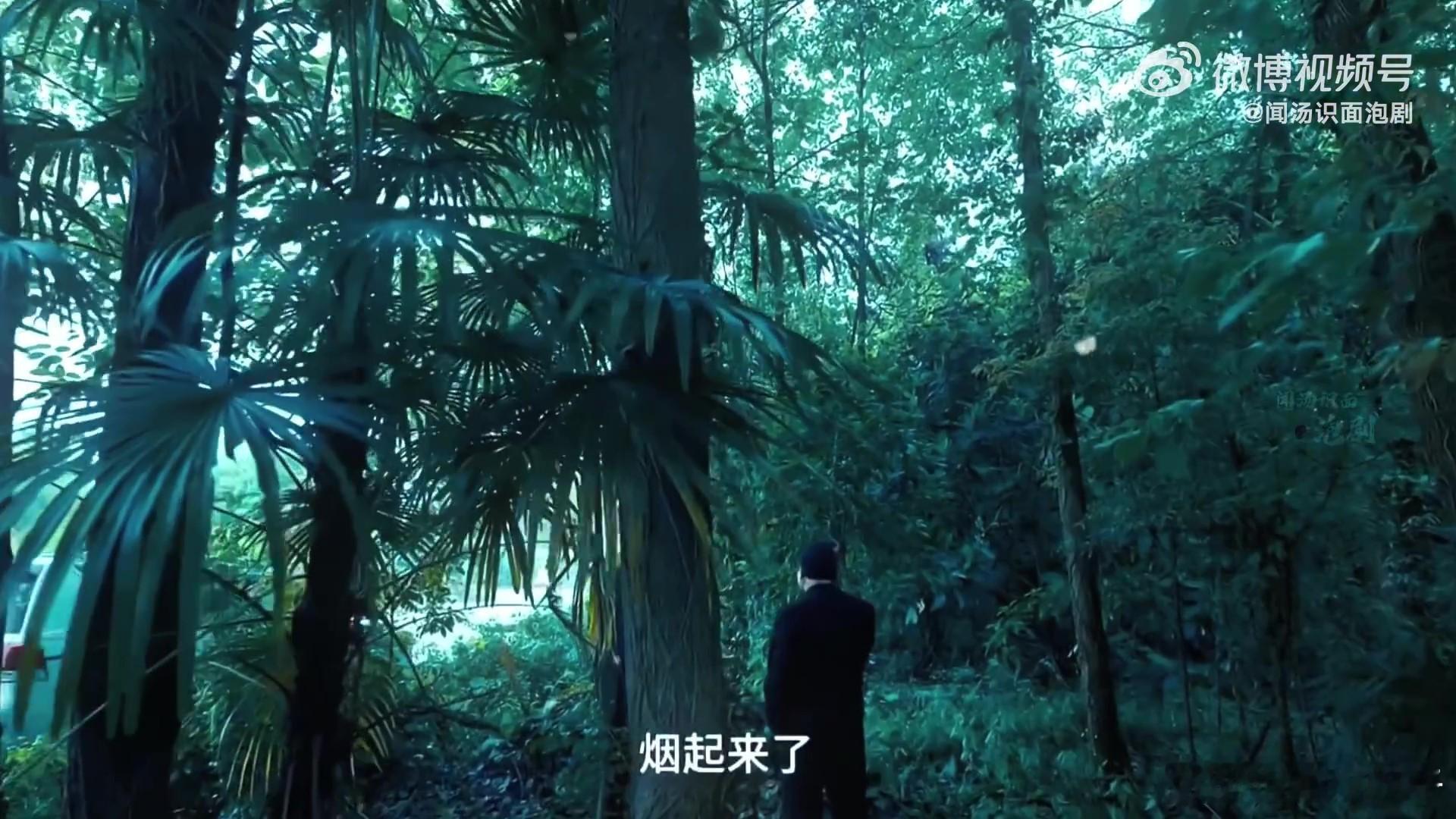 张若昀新剧硬命一条就是干看《人之初》里高风在火场中不顾危险守护证据，在马路上风驰