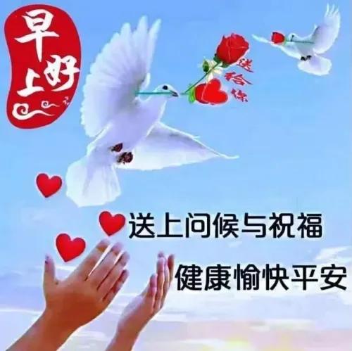 #分享早上祝福语#
