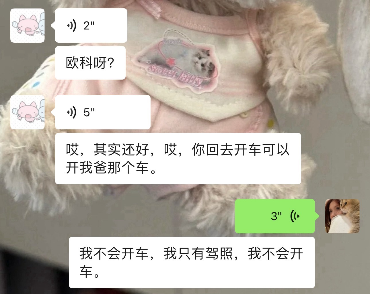 为了拿驾照而考驾照