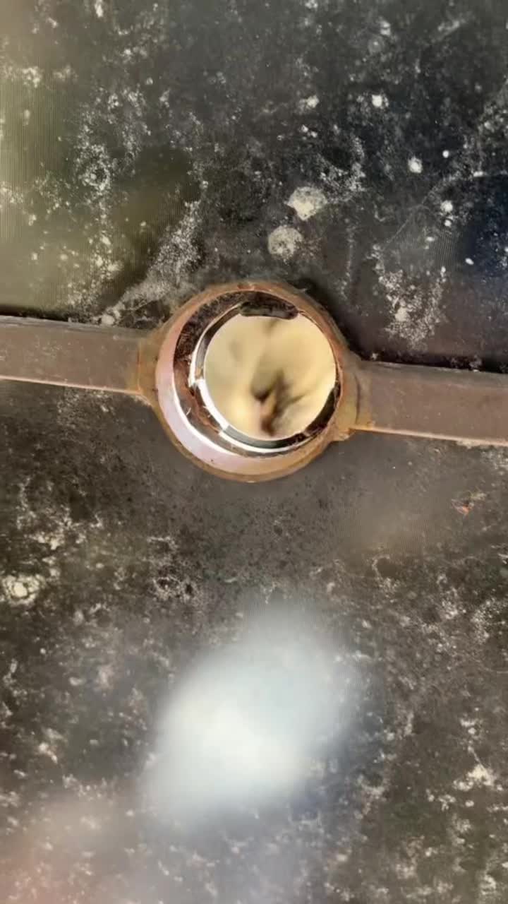 不好意思哈吉米