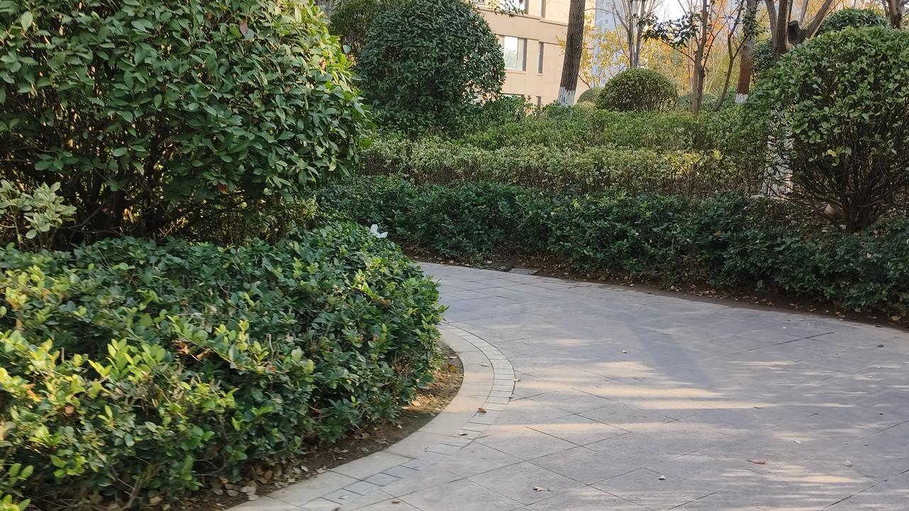秋天转过弯来，是冬天。
冬天转过弯去，就是春天了吧？