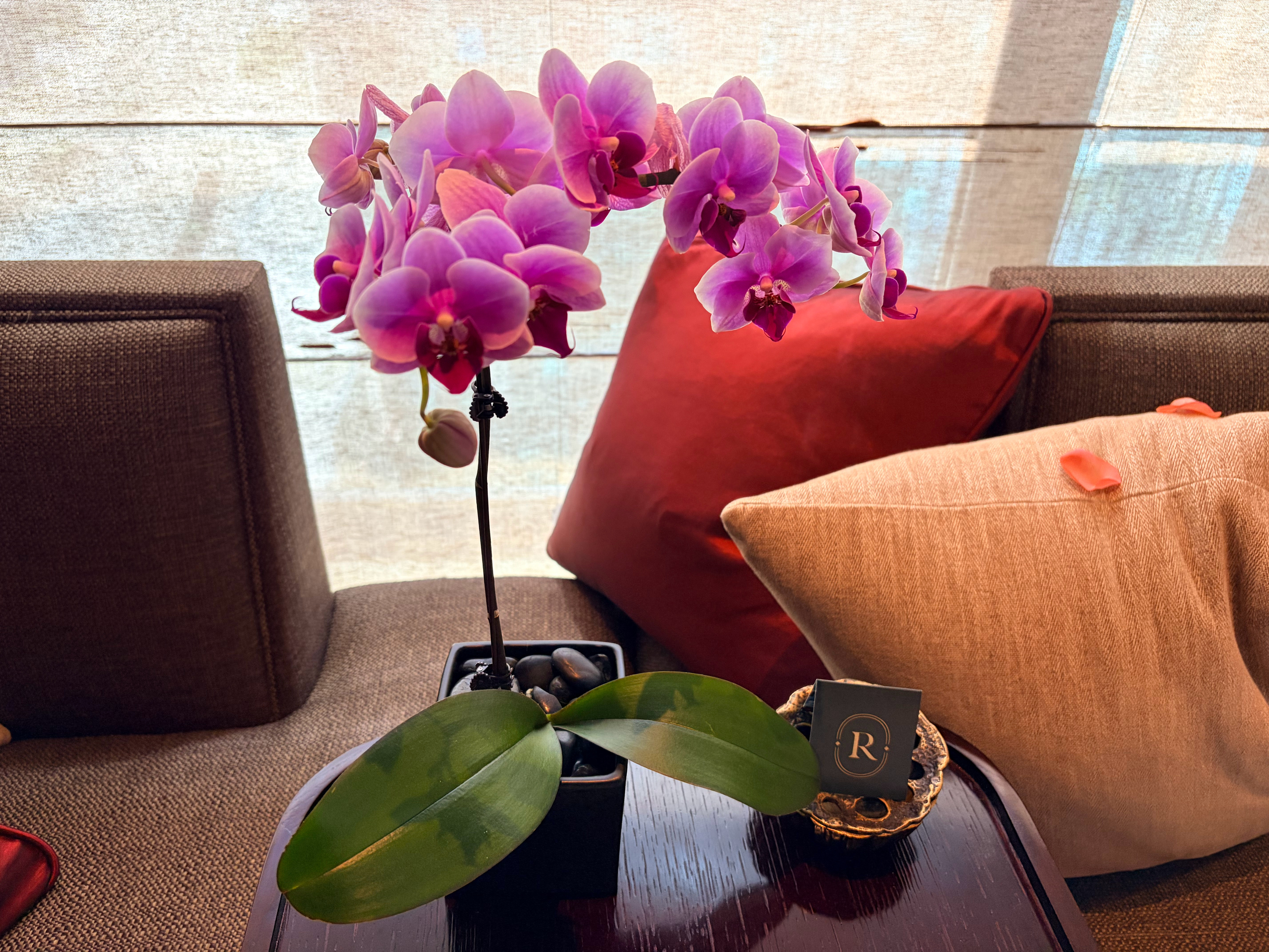 撤退 重庆·重庆丽晶酒店