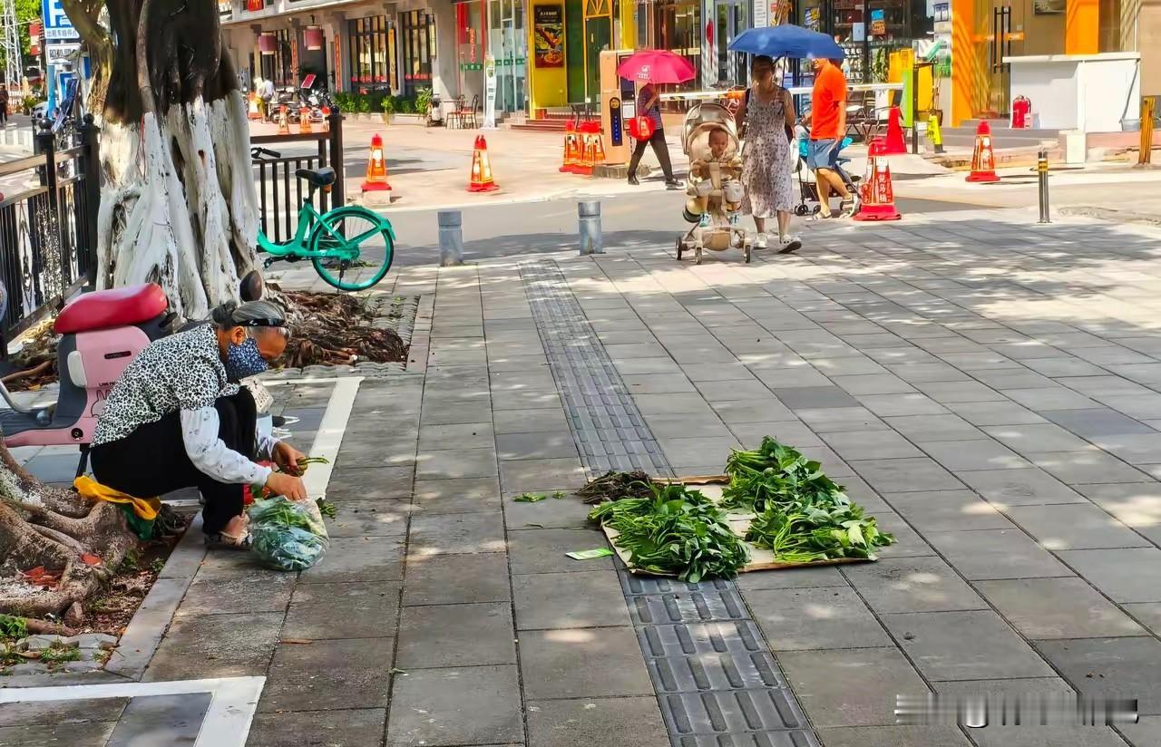 不太明白，大妈这点菜能卖几块钱啊？