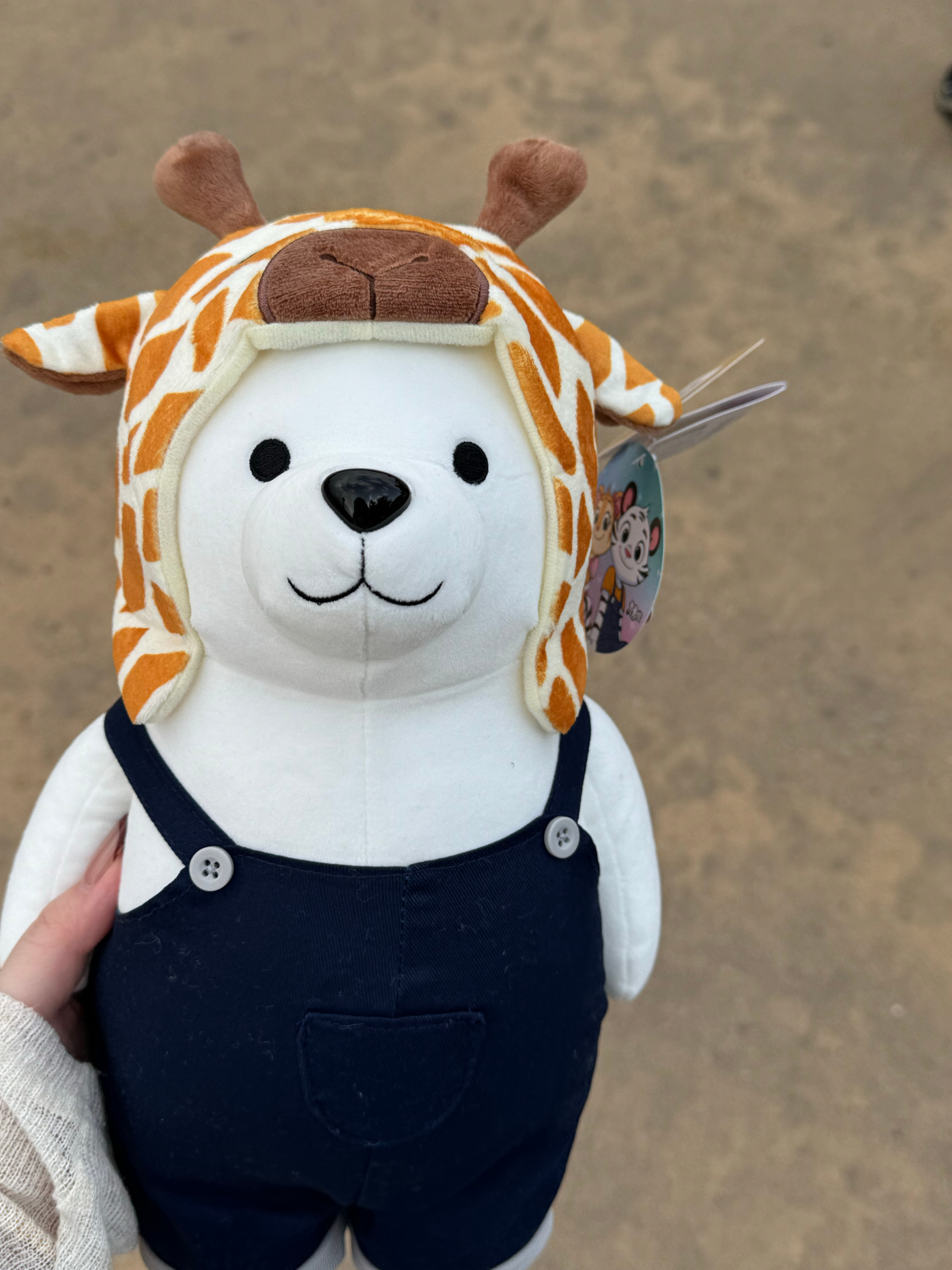 是的 我跟每个游乐园都有孩子 珠海·珠海横琴长隆国际海洋度假区