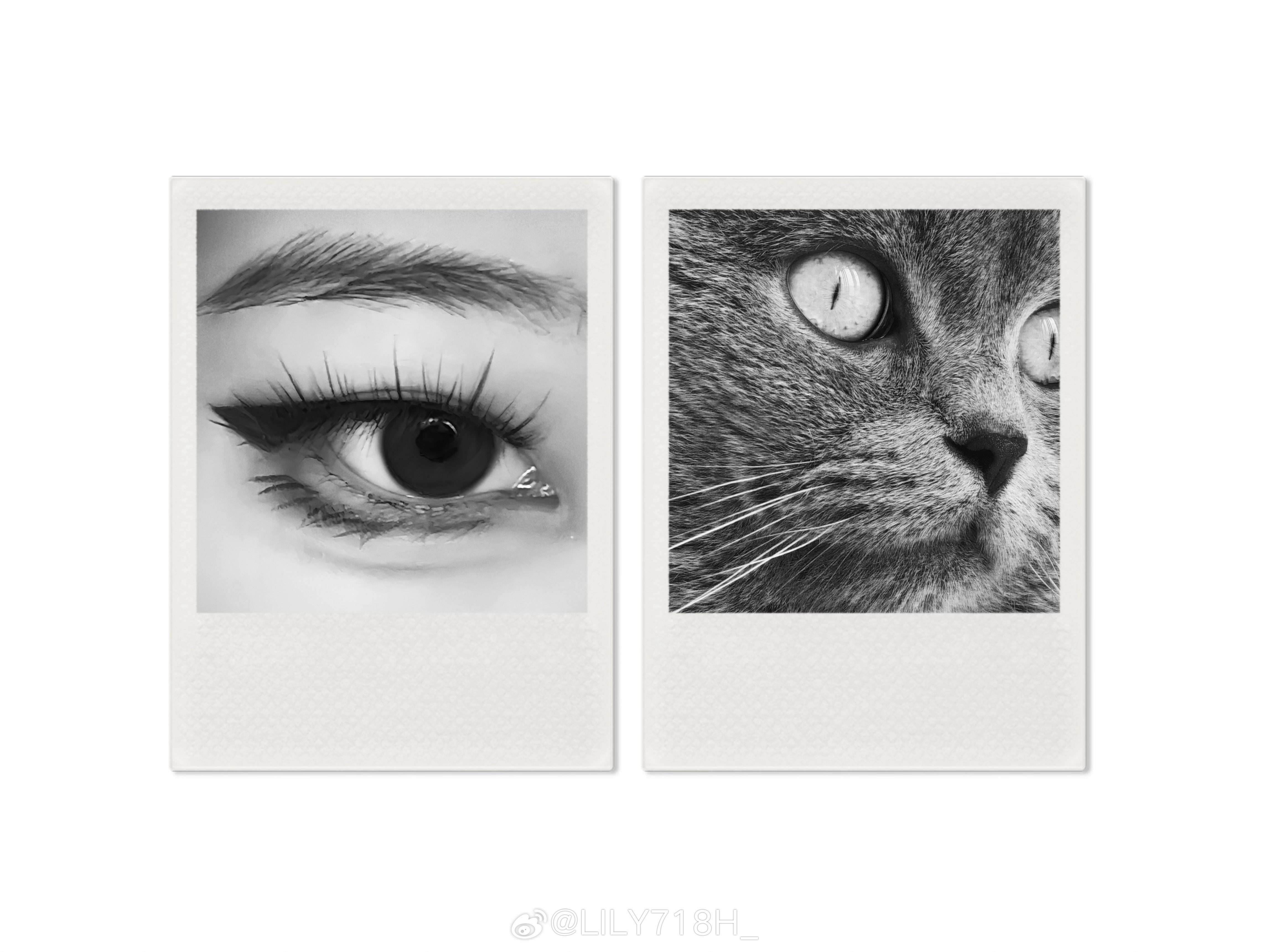 🐈‍⬛🤍 ​​​