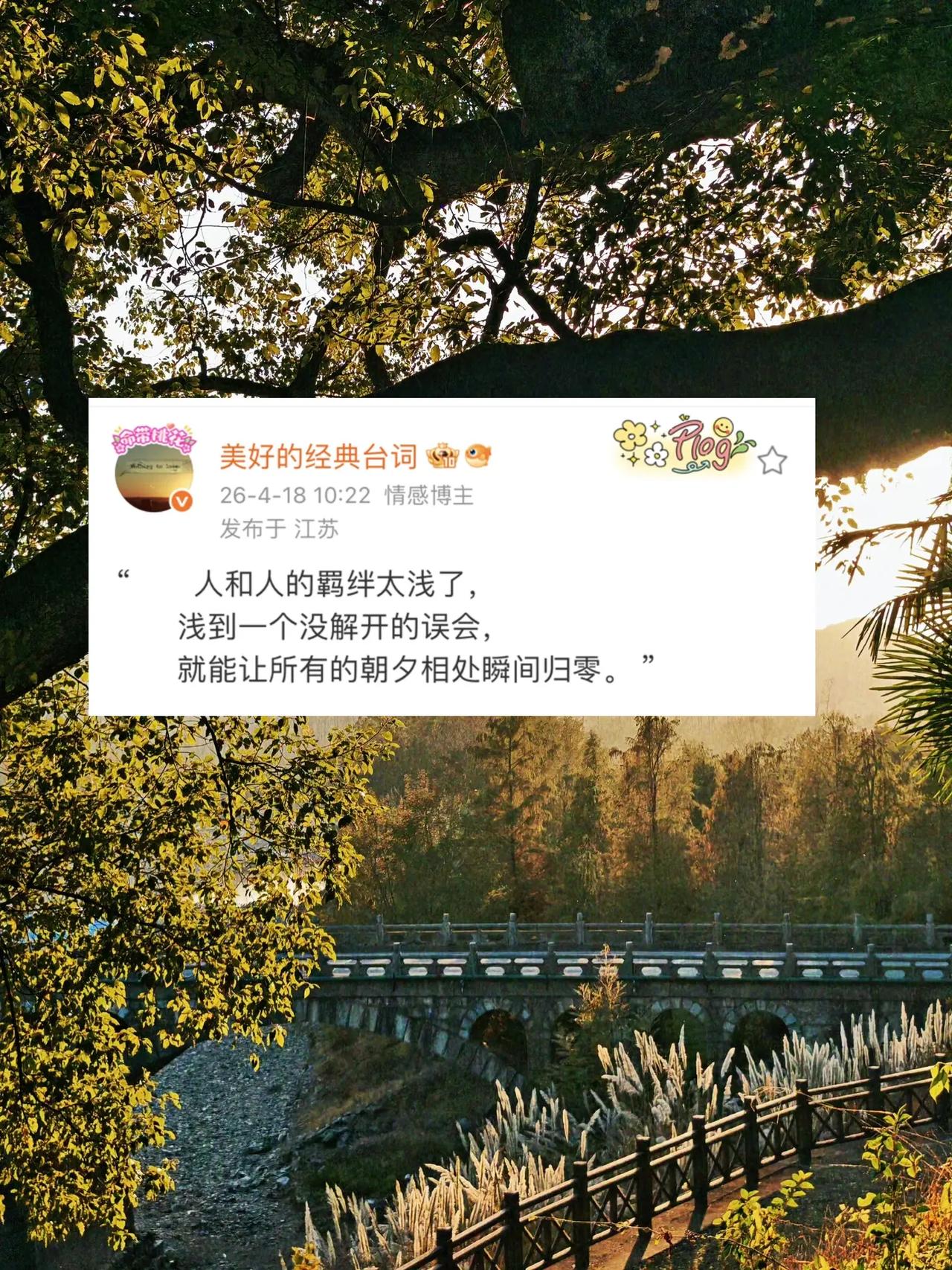 “        人和人的羁绊太浅了，        浅到一个没解开的误会，  