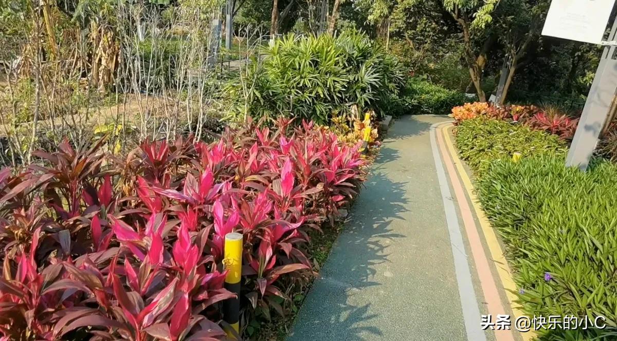 人生在世,为什么说心态很重要? 
你看啊，咱们活在这世上，谁不是一边努力一边受伤