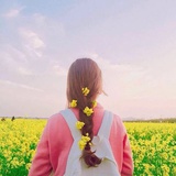 梅叶最爱社会