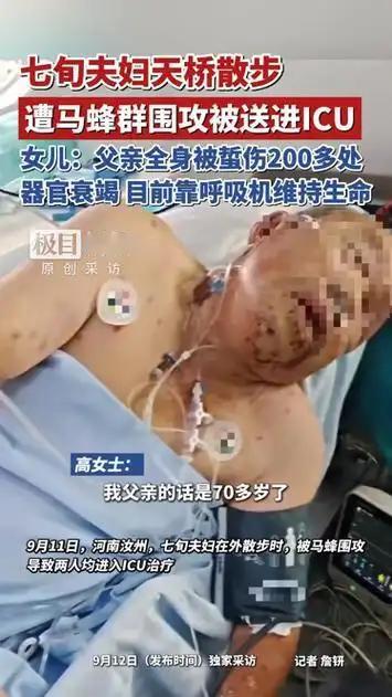 责任究竟该谁承担？河南汝州，年过七旬的老汉和老伴吃完晚饭，两人手牵手出门散步。途
