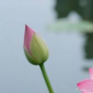 每日一善每日一善 人生只有走出来的美丽，没有等出来的辉煌，最幸福的事情，不是活得