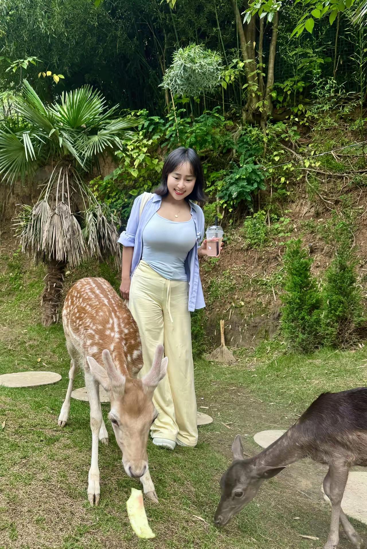 小森林