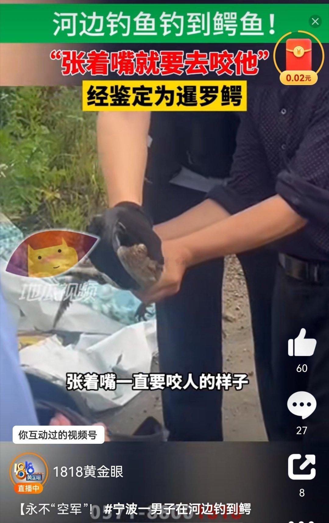 宁波奉化市民在河里钓到了鳄鱼。现在鳄鱼在宠物市场不难买到。有一些王八蛋，买来之后