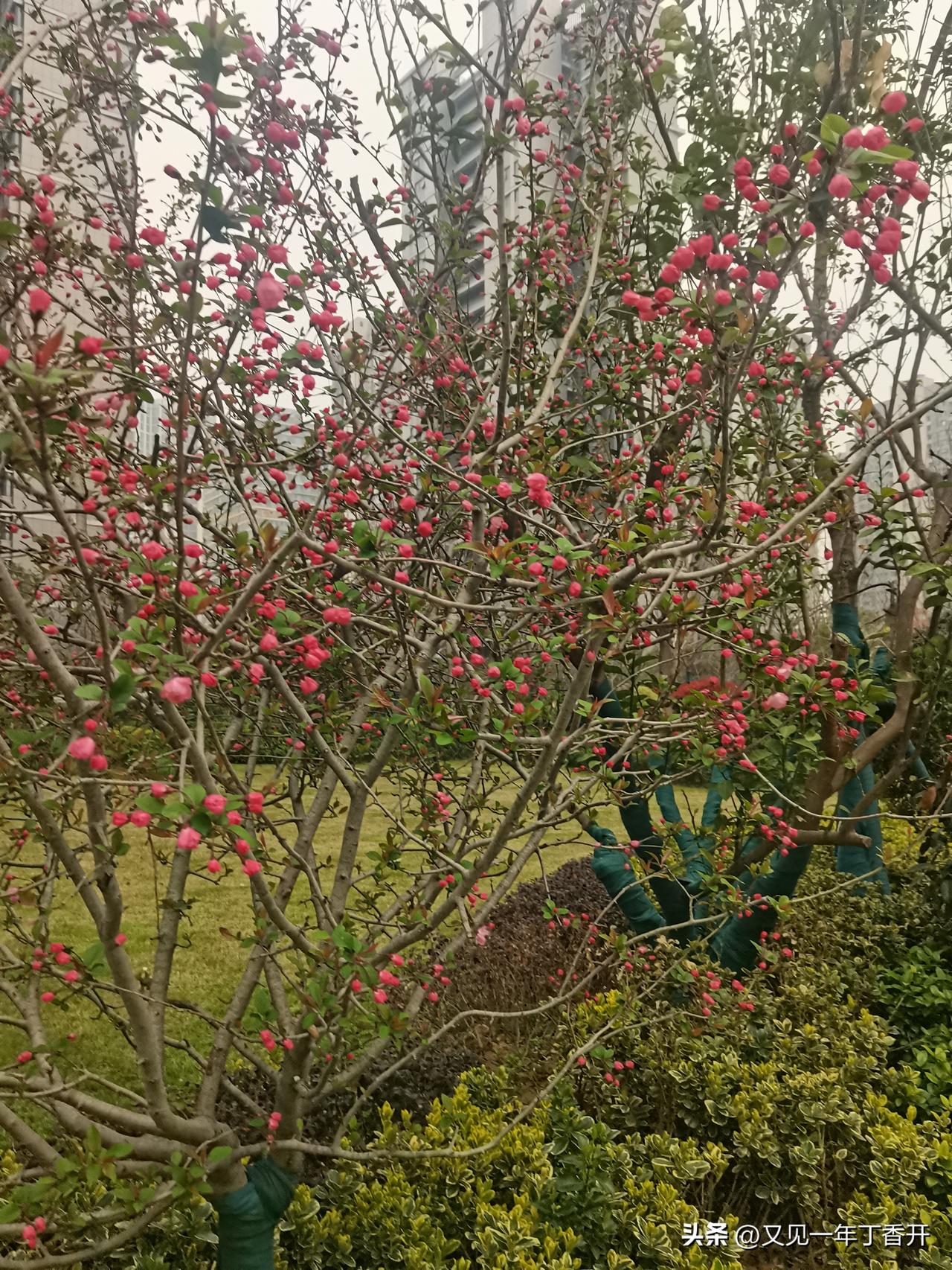 这种故事必须违反常理[尬笑]

我不信，反正我不信

他退休金4800老伴270