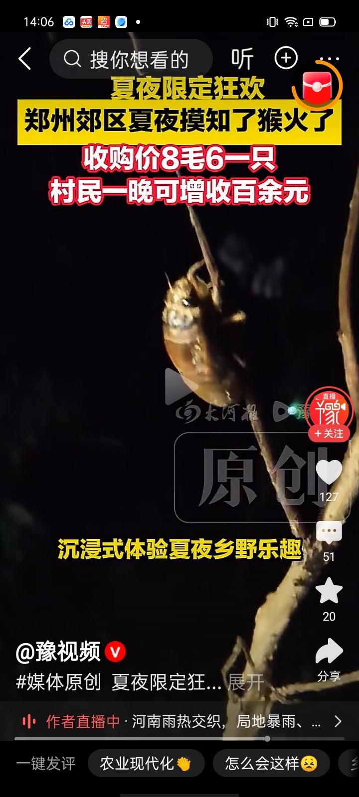 夜间摸知了猴，逮蛐蛐，抓蝎子，套兔子，掏鸟窝，采蘑菇都是小时候的乐趣。
如今摸知