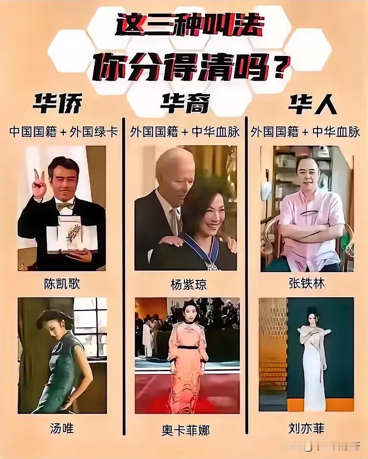 华侨好理解，华裔和华人该怎么区分