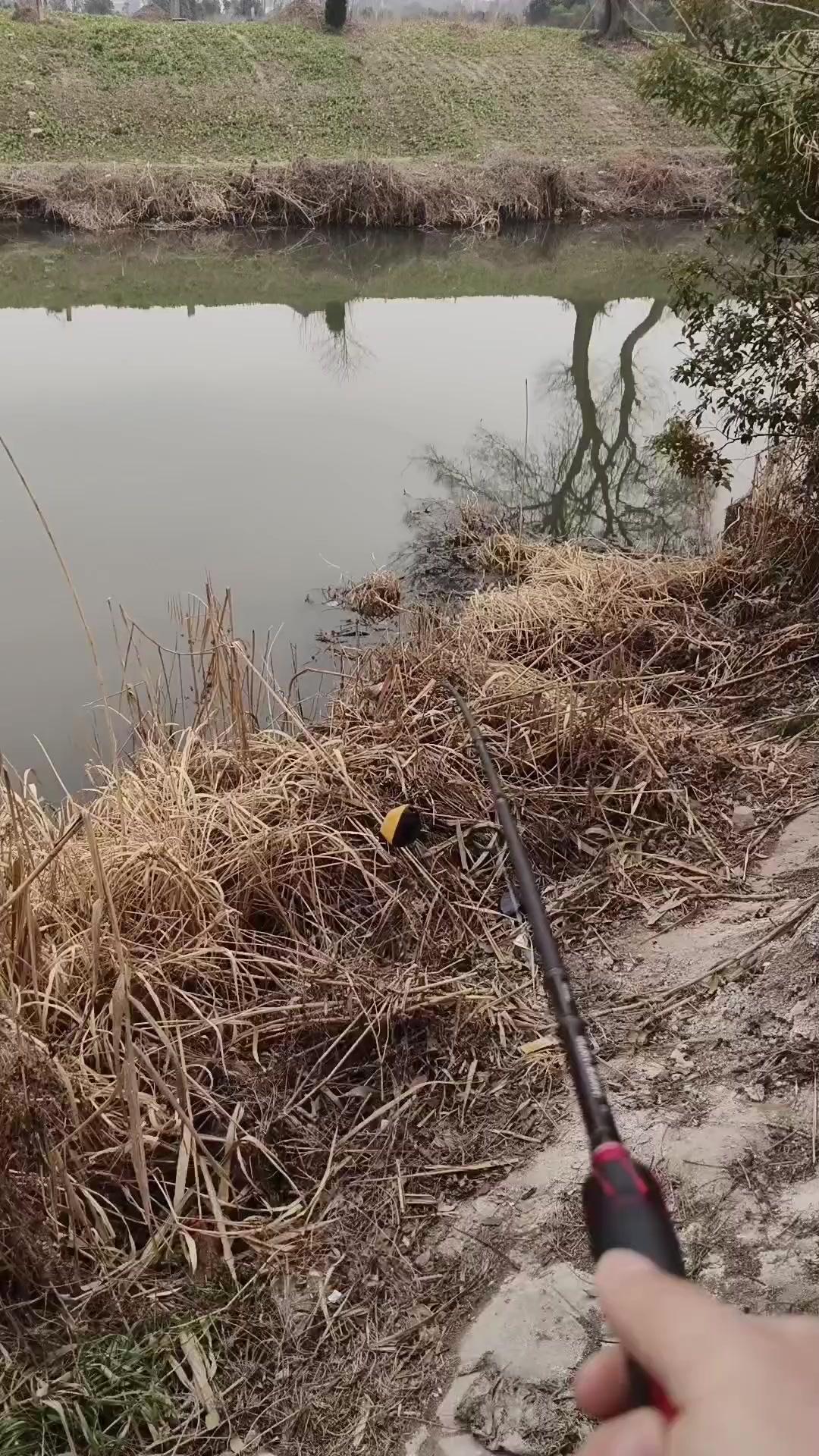 摘要：今天探钓大明龙游河靠近丁磨公路段，选择的钓点是一处闸口处。

1️⃣用路亚