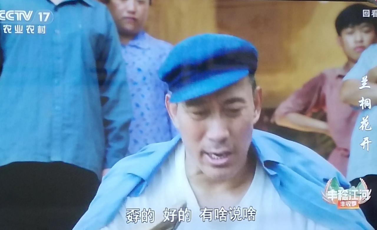 《蘭桐花開》:窮人的孩子？？？