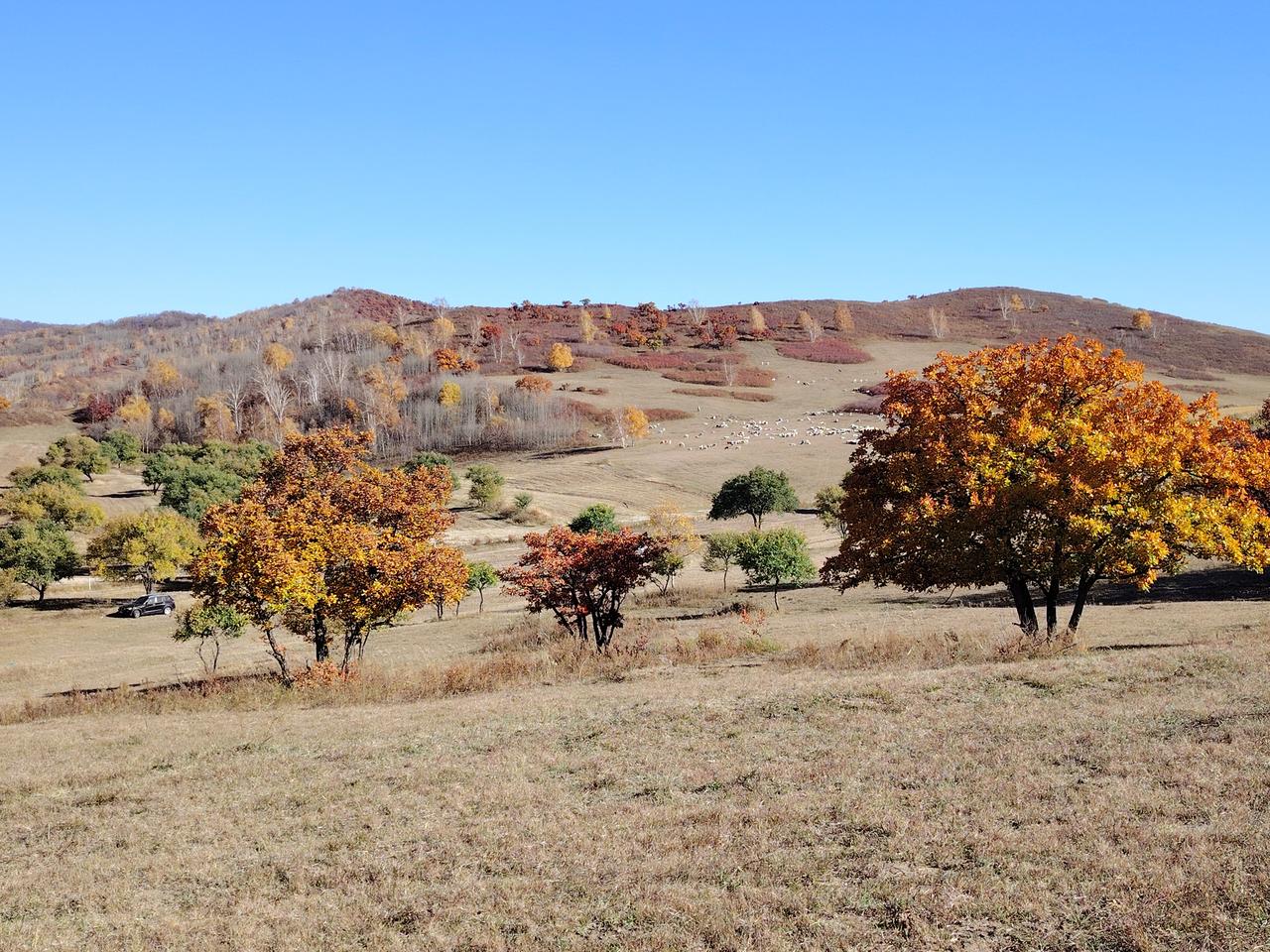 都是“不好意思”惹的祸！[害羞][害羞][害羞]

返聘的事儿，已经彻底推掉了，