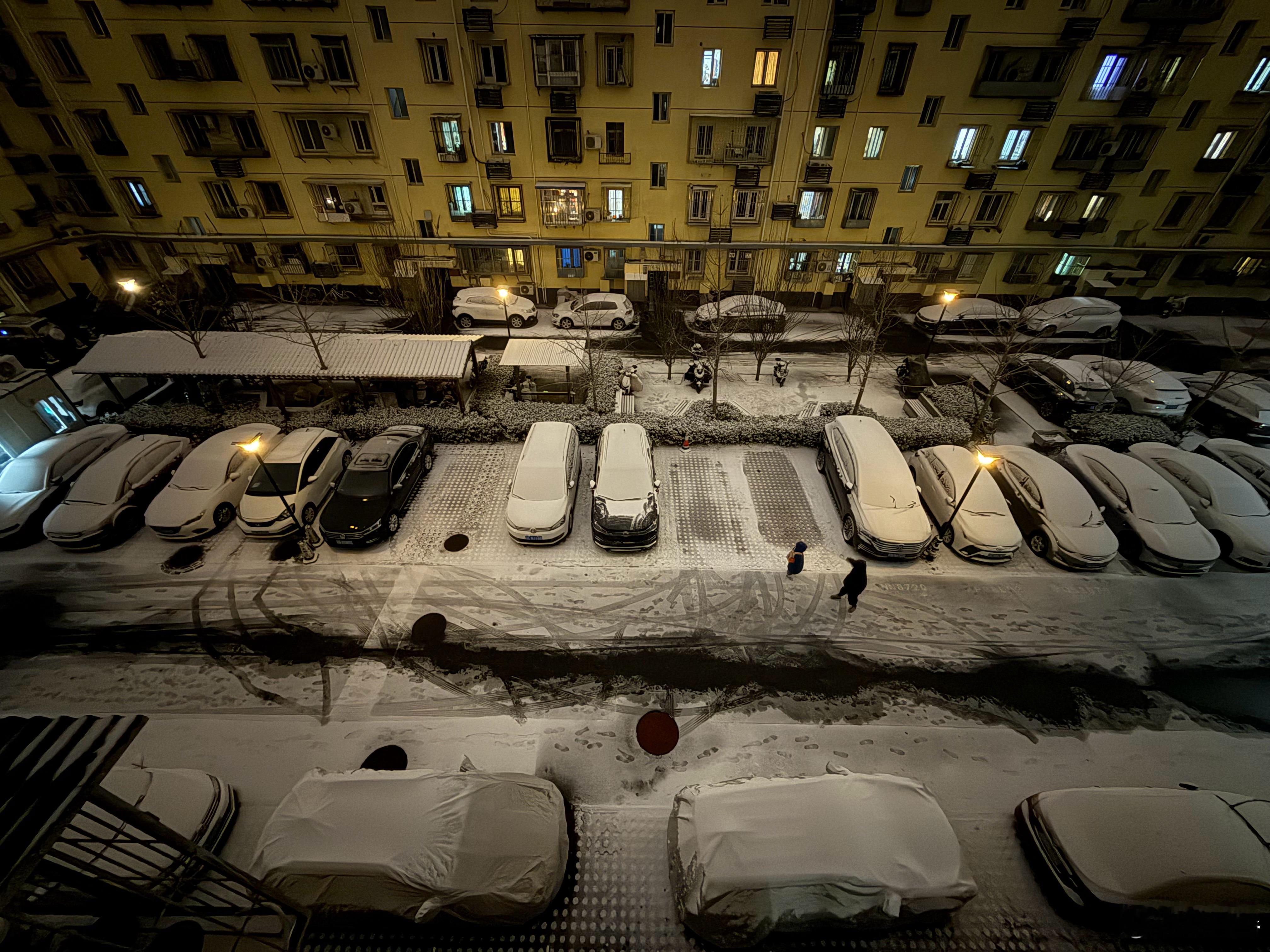 还是南方好，北方的冬太寒太漫长。希望这个冬天能把户外跑步坚持下来，享受细狗人生。