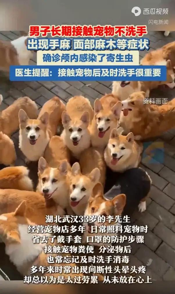 “悲剧还是发生了！”湖北武汉，一男子开了家宠物店，在照料宠物时图省事，不防护也不