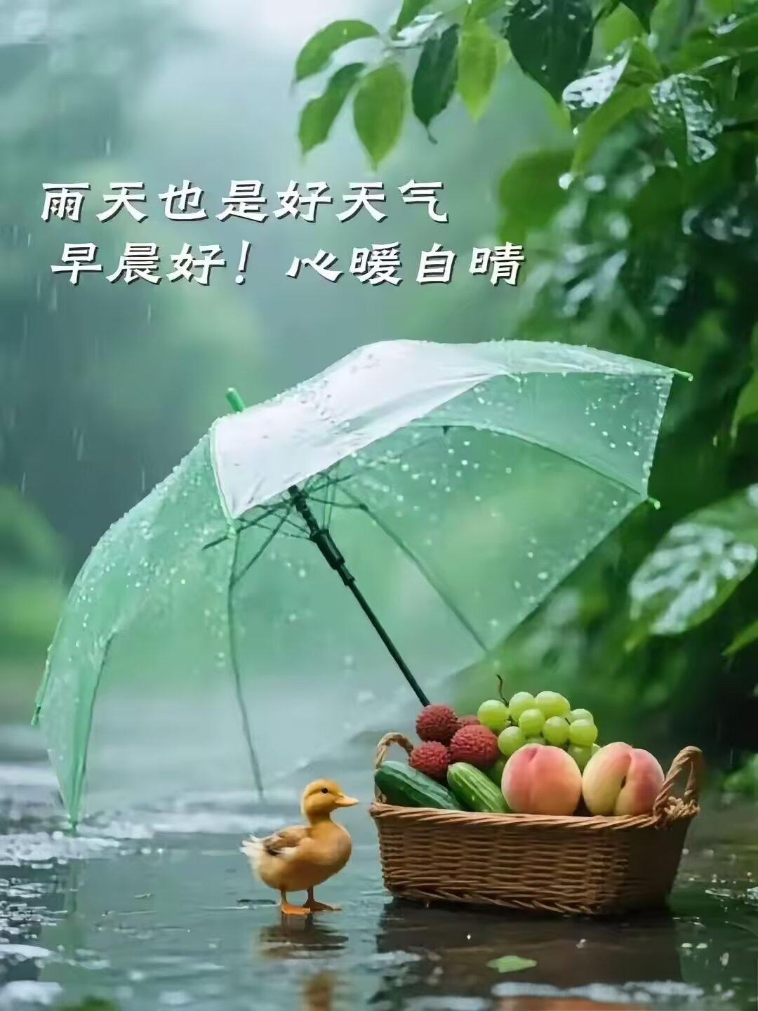 【清晨心语】
时序更迭，盛夏渐浓，温热的晚风轻拥人间烟火，半载光阴悄然落幕。阅尽