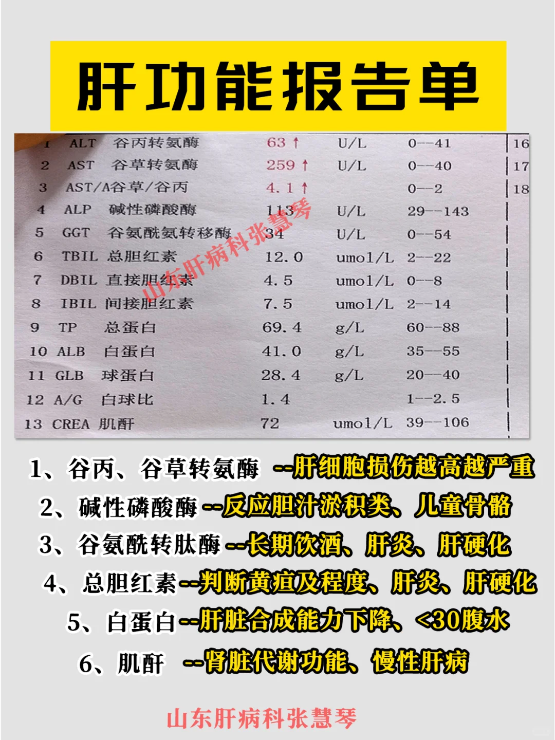 别再为不会看功能能而烦恼，一图看懂肝功能