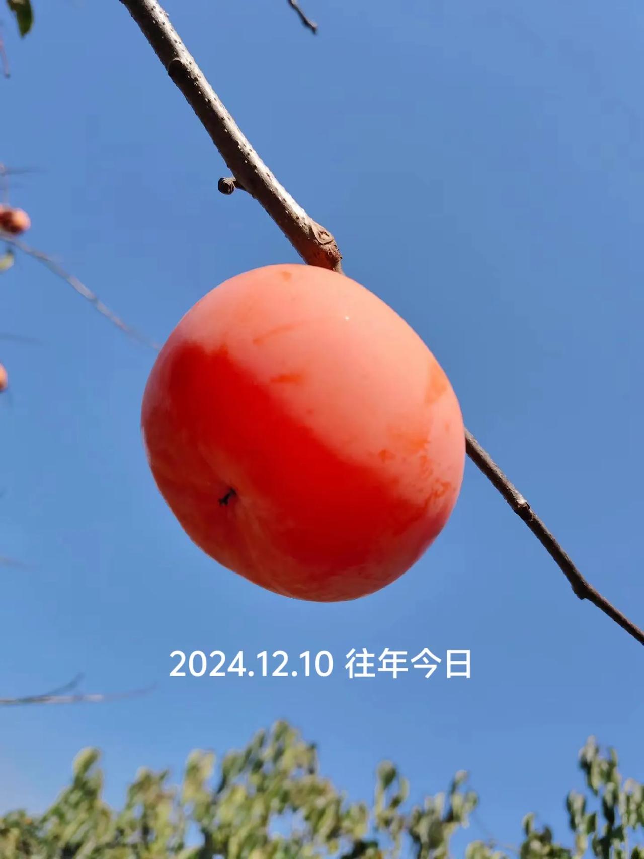 那就祝事事如意吧！