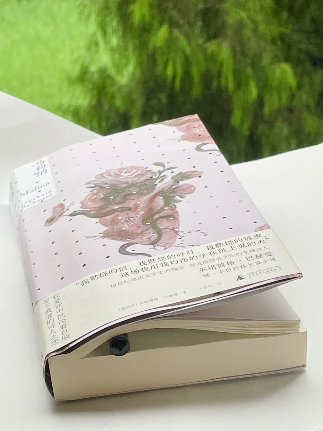雨天，读书。而后我看见她。