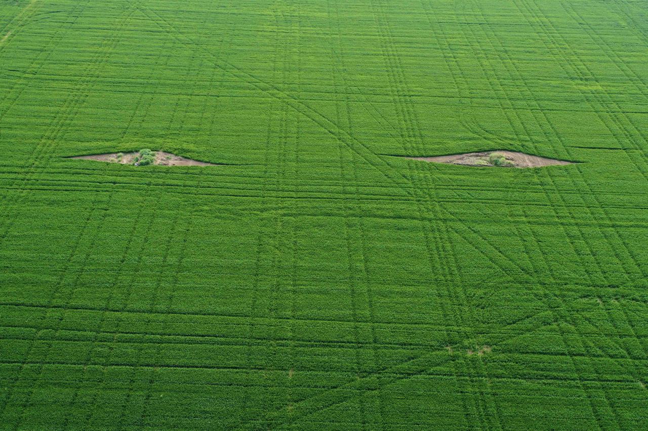陕西大荔县出现麦田怪圈。
今天上午，本想拍一下大荔的万亩麦田，结果无人机升空后，