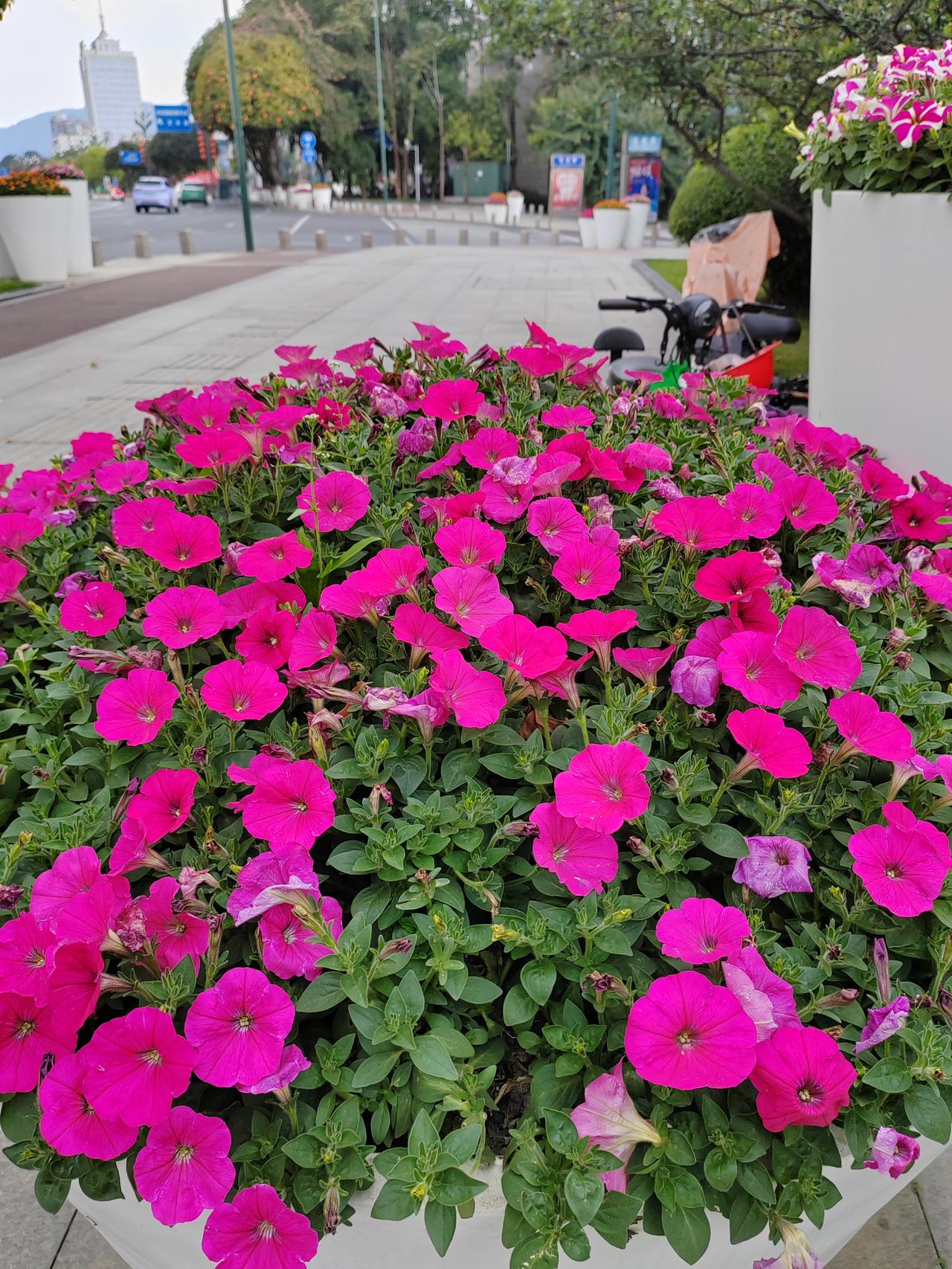 股市中普遍存在“自信"

股市中普遍存在的“自信”现象，并非源于投资者真的掌握了