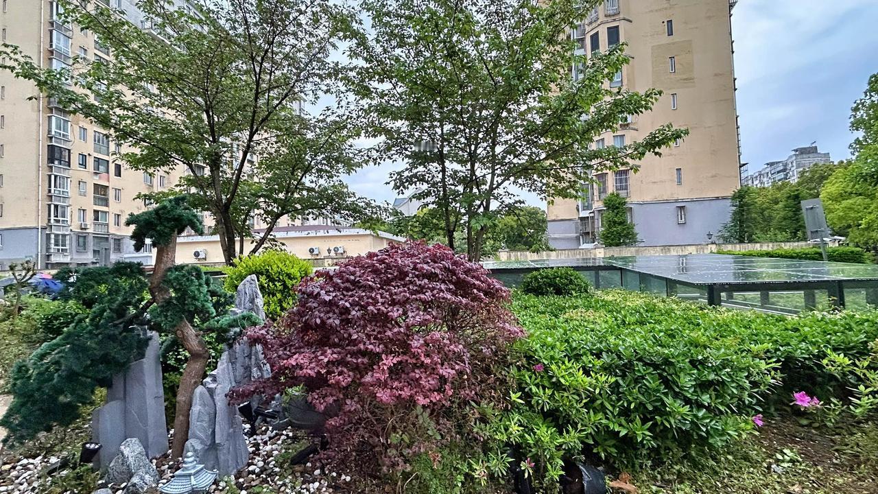 春雨绵长，春风和熙，万物之灵，生机盎然，又是一年好况象。