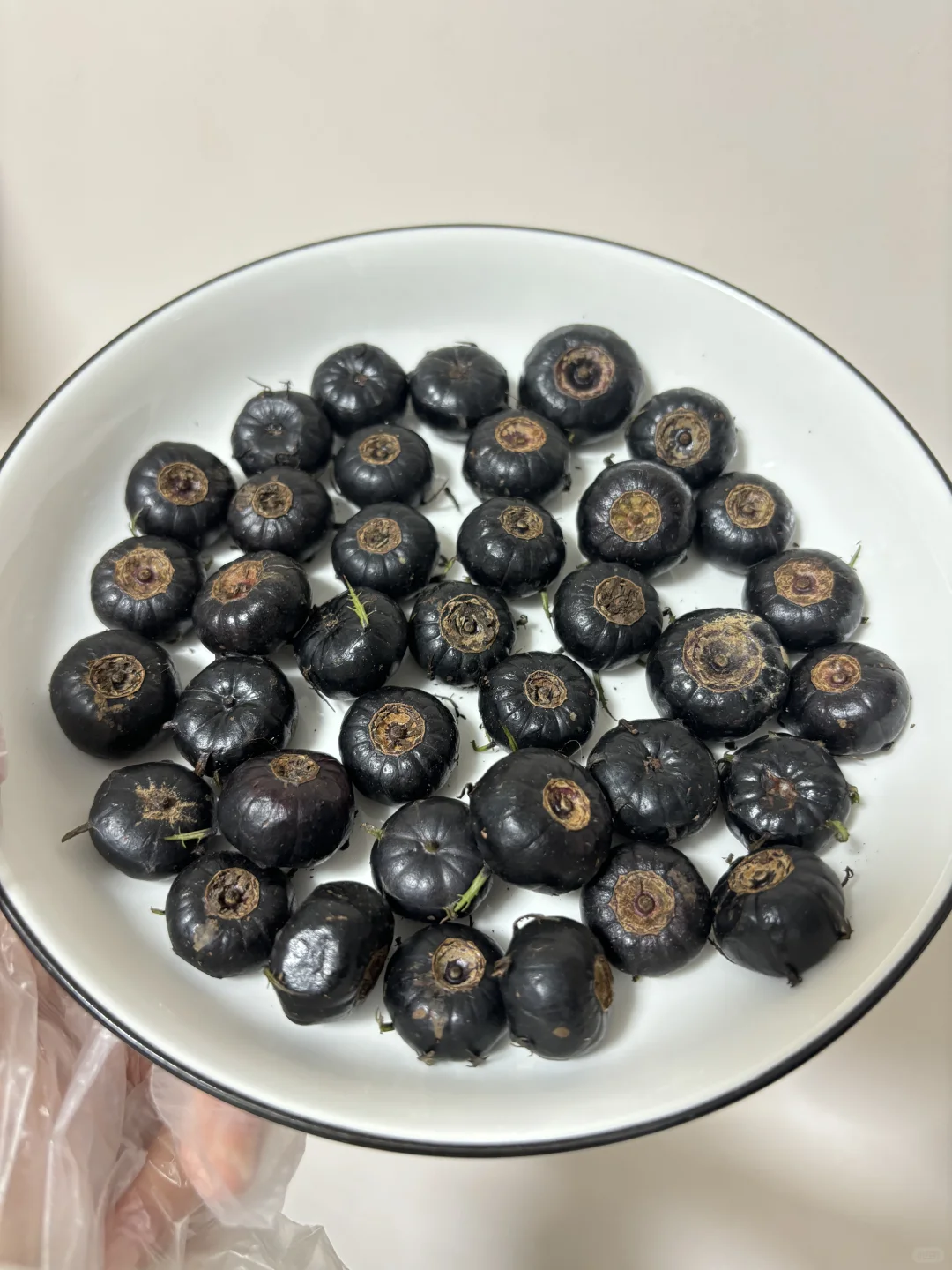 有人知道这是什么？