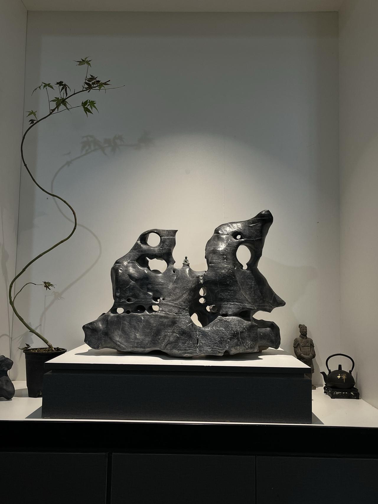 如果你是老板的话，
请记住专业告诉你的：
不要买自己喜欢的奇石！
不要买自己喜欢